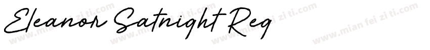 Eleanor Satnight Reg字体转换